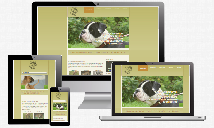 Continental Bulldogs vom Böhlerbächli geht mit neuer Responsive Website online