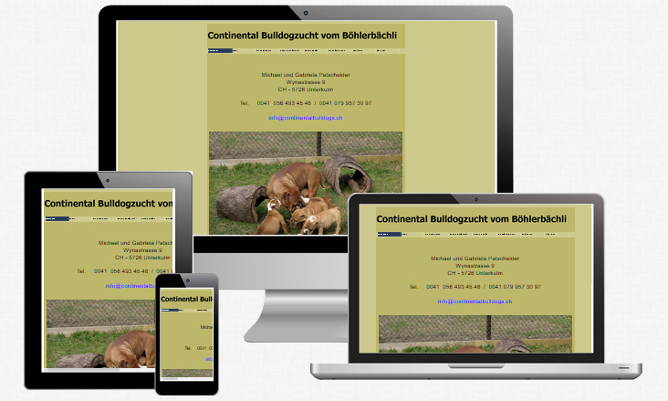 Continental Bulldogs vom Böhlerbächli geht mit neuer Responsive Website online